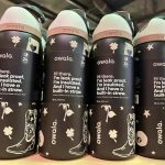 Gourde Owala acier inoxydable