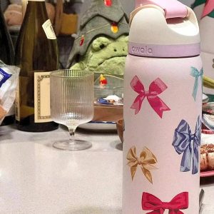 Gourde Owala Bow Rose Papillon