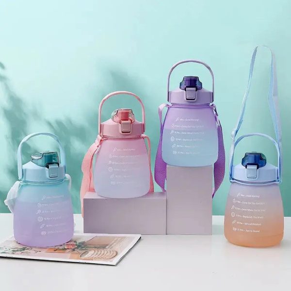 mini gourde motivation 1L