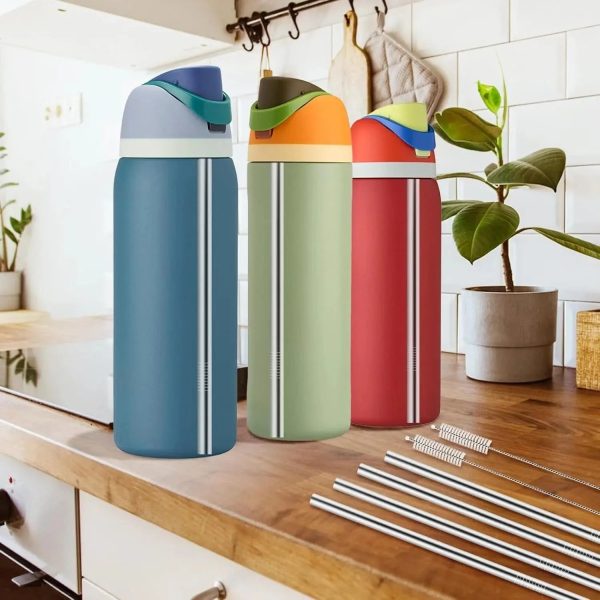 lot de 4 pailles Owala