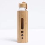 gourde BPA free design