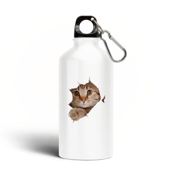 Gourde motif chat mignon