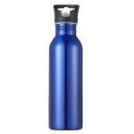 gourde inox paille intégrée