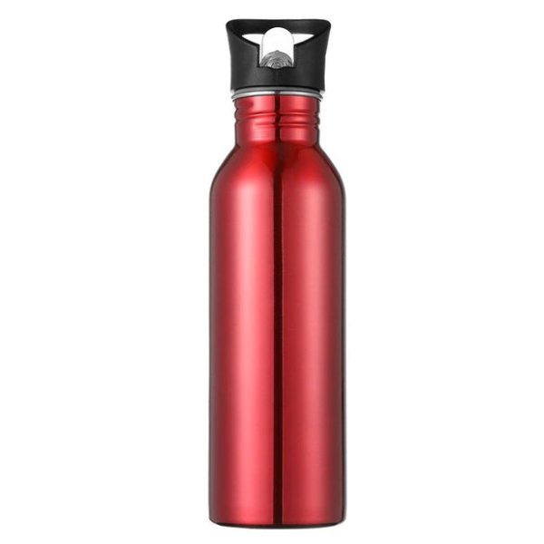 gourde acier inoxydable paille