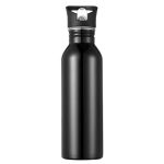 bouteille inoxydable avec paille