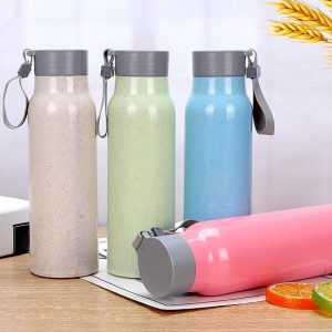 gourde robuste en verre